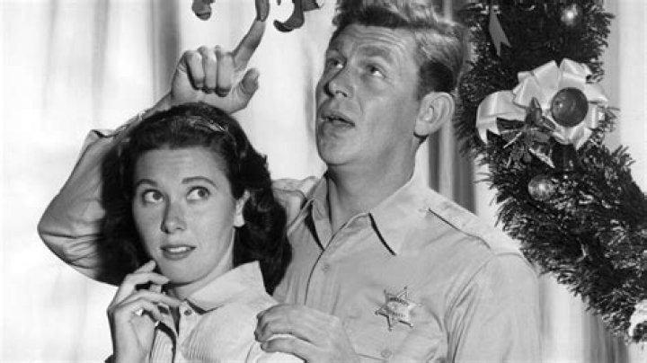 Cindi Knight: Uncovering the Life of Andy Griffith's Devoted Widow
