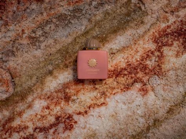 Discovering the Essence of Chloe Sunderland: A Deep Dive into Chloé's Unique World