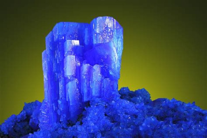 Exploring Crystal Westbrooks: Life, Career, and Recent Appearances