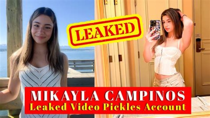 Exploring the Public Discussion Around Mikayla Campinos and Online Content