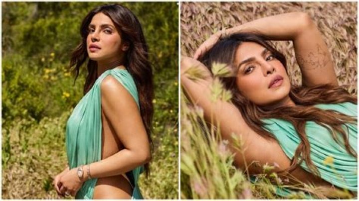 Exploring the Public Image and Privacy of Priyanka Chopra
